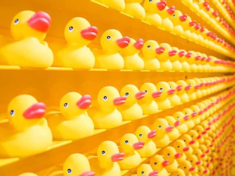 Sei nicht ein_r von vielen, hebe dich von der Masse ab. Erarbeite dir dein Alleinstellungsmerkmal!