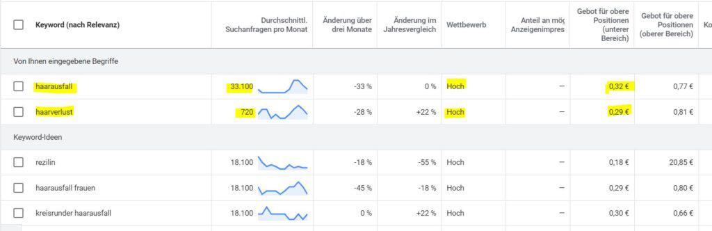 Screenshot Keyword Ideen Recherche mit dem Google Keywordplanner Screenshot Keyword Ideen Recherche mit dem Google Keywordplanner
